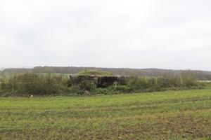 Ligne Maginot - TIERGARTEN 2 - Vue générale