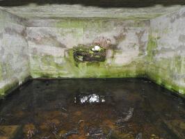 Ligne Maginot - SALWALD 4 - (Blockhaus pour canon) - La chambre de tir du canon.