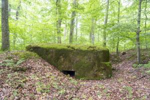 Ligne Maginot - BUCHENHUEGEL 1 - (Blockhaus pour arme infanterie) - 