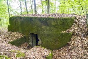 Ligne Maginot - BUCHENHUEGEL 1 - (Blockhaus pour arme infanterie) - 