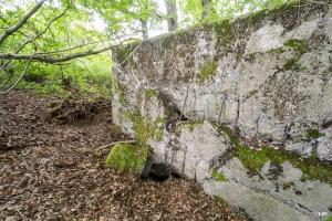 Ligne Maginot - C9 - DIGUE DE RICHELING 4 - (Blockhaus pour canon) - 