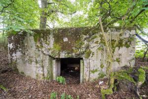 Ligne Maginot - C9 - DIGUE DE RICHELING 4 - (Blockhaus pour canon) - 