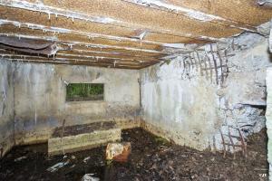 Ligne Maginot - C9 - DIGUE DE RICHELING 4 - (Blockhaus pour canon) - 