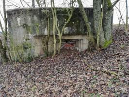 Ligne Maginot - DIGUE DE REMERING 5 - (Blockhaus pour canon) - Le crenau flanquant vers le barrage de Puttelange aux Lacs