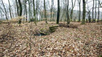 Ligne Maginot - HIEHL - (Casernement) - 