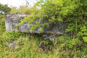 Ligne Maginot - HOFERBRÜCKE 5 - (Blockhaus de type indeterminé) - 