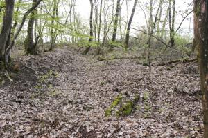 Ligne Maginot - M8B - GRUNDVILLER 4 (Blockhaus pour arme infanterie) - Derniers vestiges????