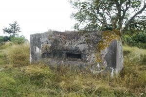 Ligne Maginot - M28 - HOLVING SUD 2 - (Blockhaus pour arme infanterie) - 