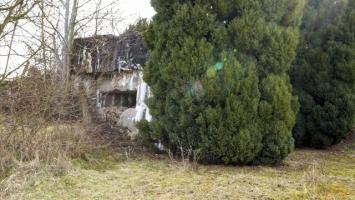 Ligne Maginot - M30 - HOLVING CENTRE 5 - (Blockhaus pour canon) - 