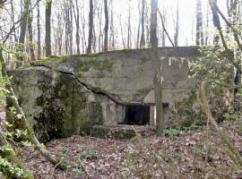 Ligne Maginot - Façade de tir - Façade de tir