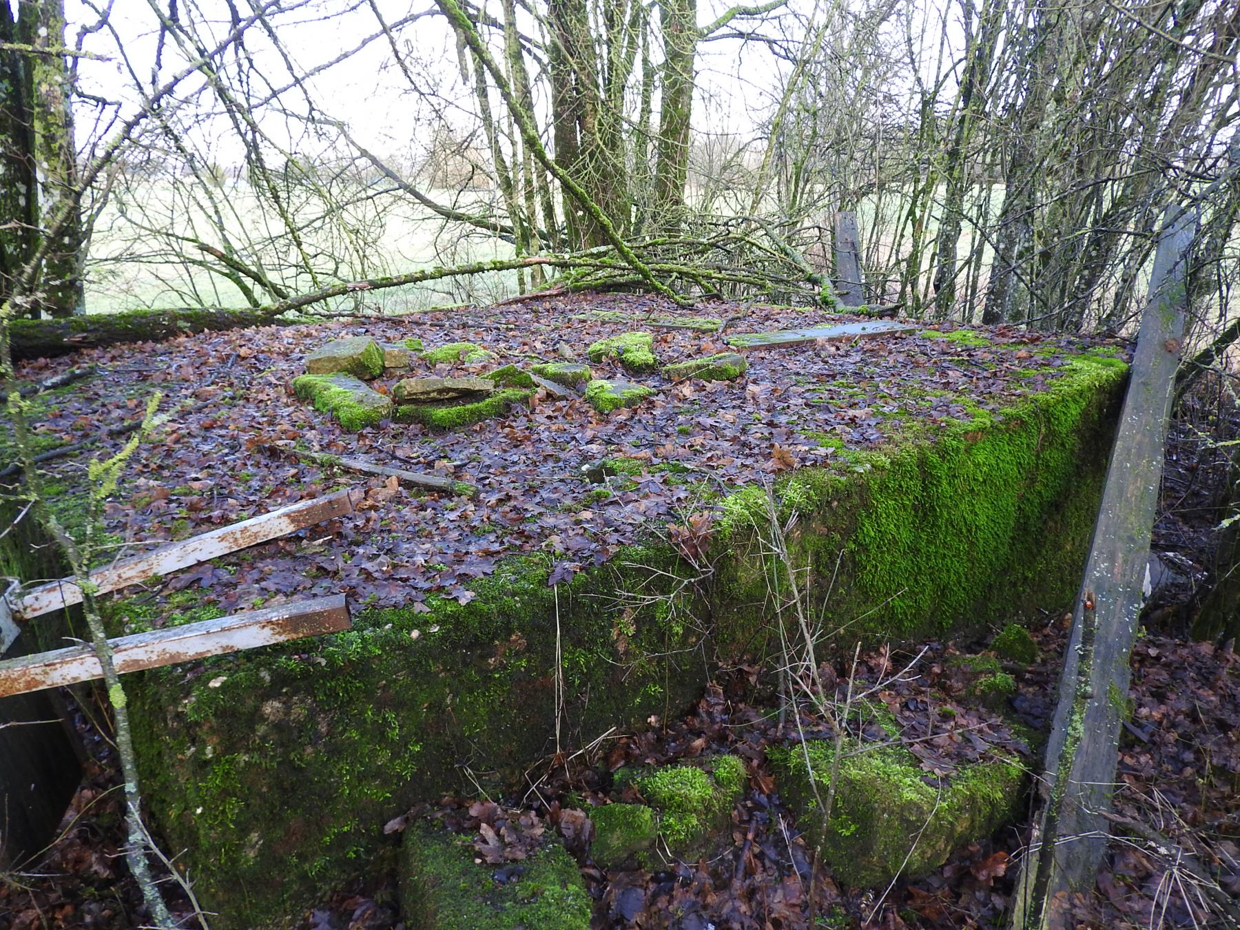 Ligne Maginot - RIMERSBERG 1 - (Blockhaus pour arme infanterie) - Le blockhaus caché dans un bosquet.