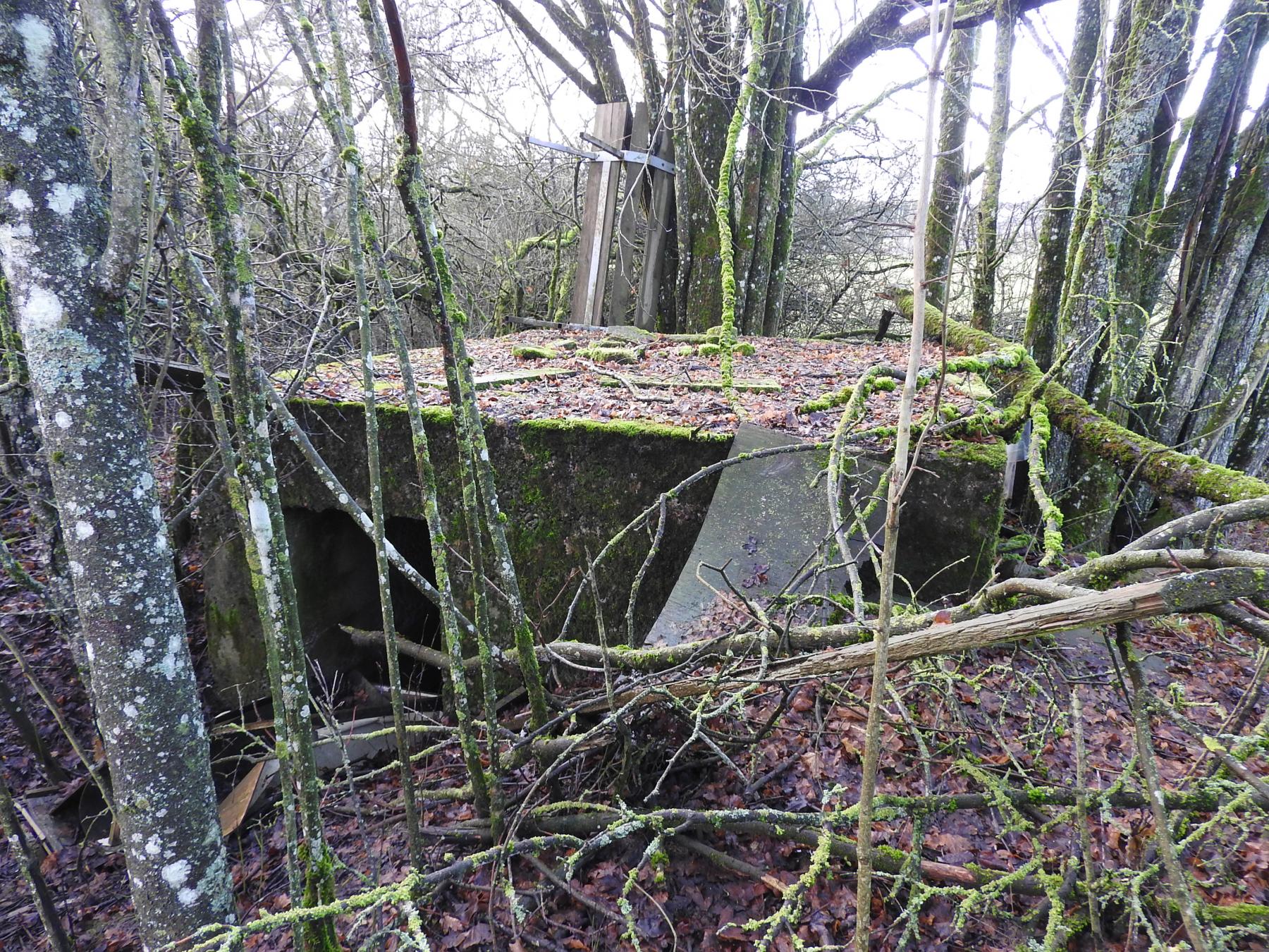 Ligne Maginot - RIMERSBERG 1 - (Blockhaus pour arme infanterie) - La façade arrière et l'entrée.