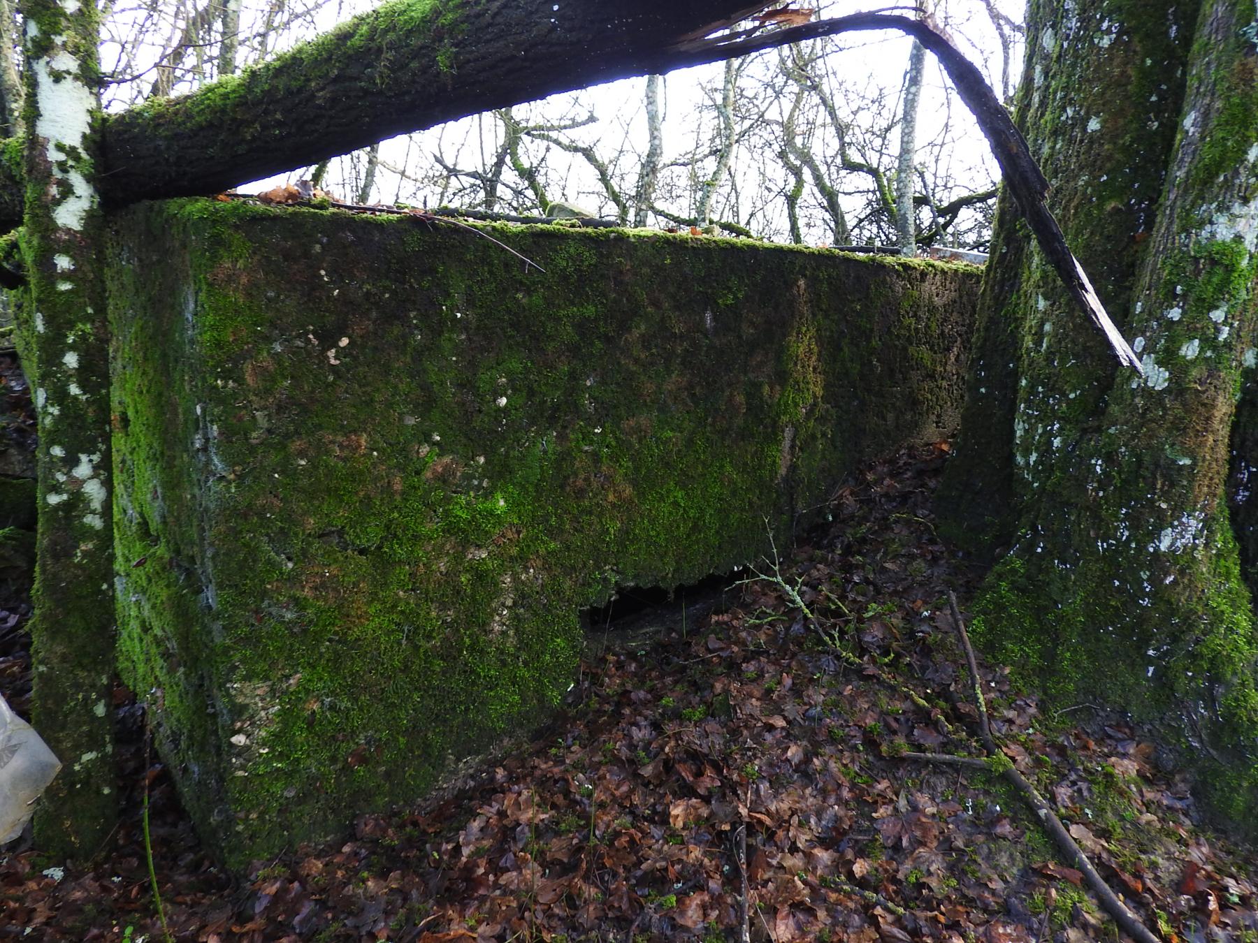 Ligne Maginot - RIMERSBERG 1 - (Blockhaus pour arme infanterie) - La façade de tir.