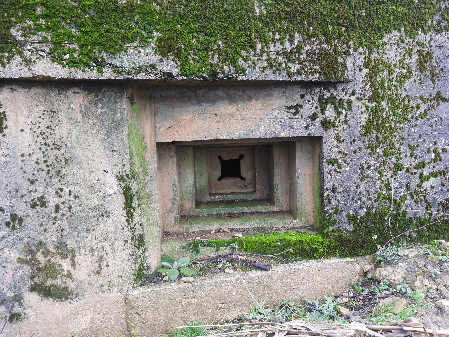 Ligne Maginot - MITTELSMUEHLE OUEST - (Blockhaus pour canon) - L'embrasure pour FM.
