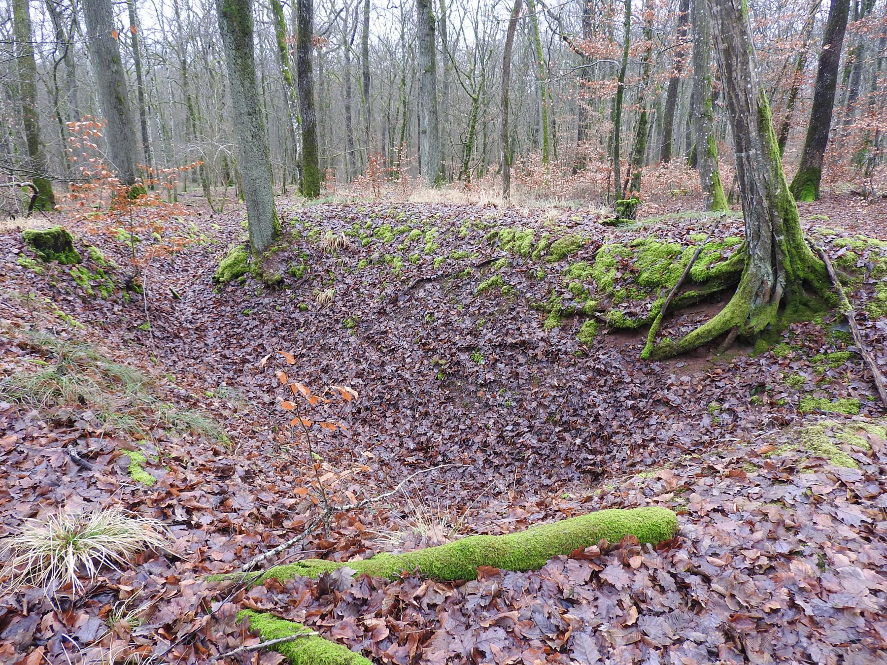 Ligne Maginot - BEWINKEL 2 (CEFV1 - I/174° RMIF) - (PC) - Un emplacement de cagna.