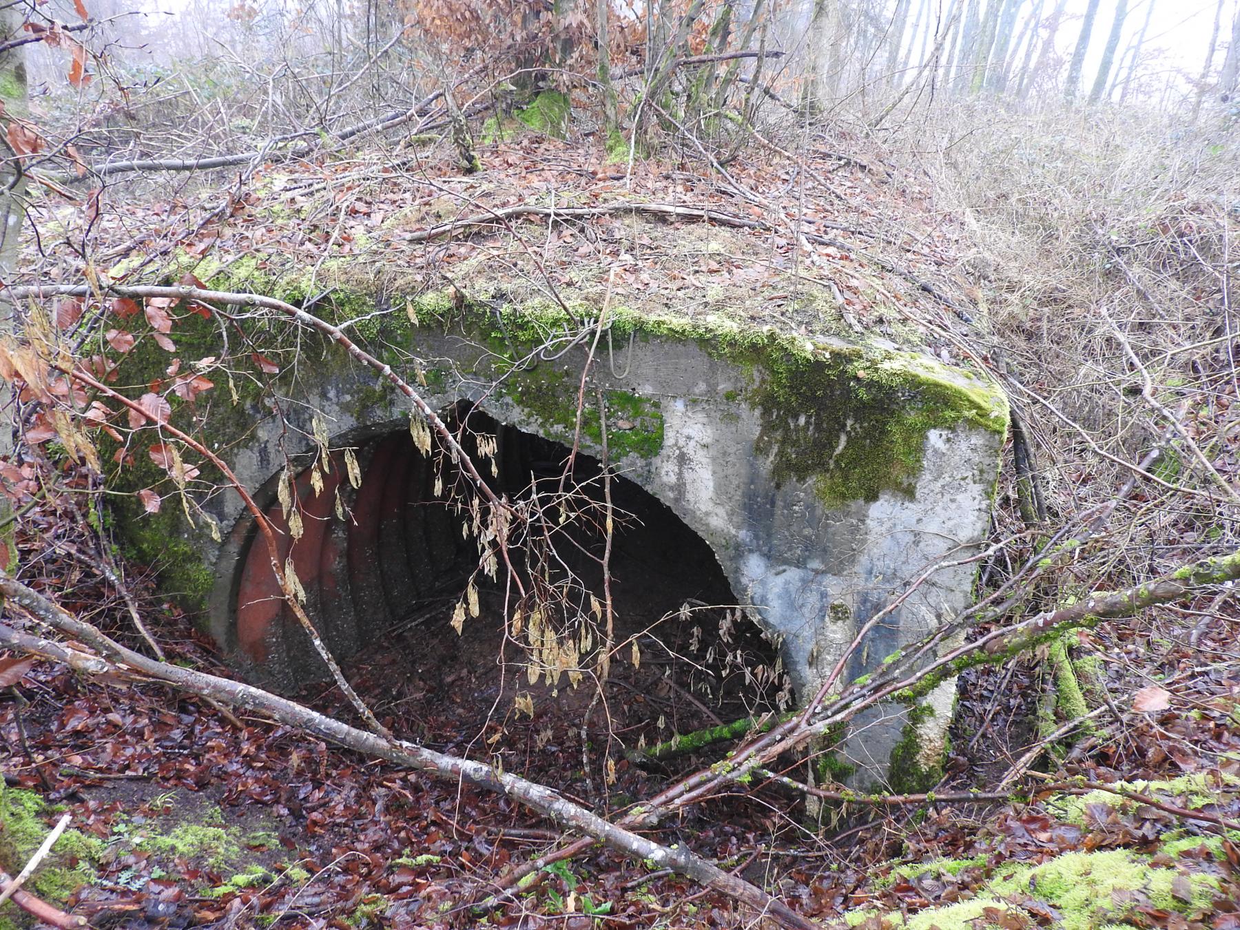 Ligne Maginot - ROHRWALD CENTRE - (Abri) - L'abri du Rohrwald.