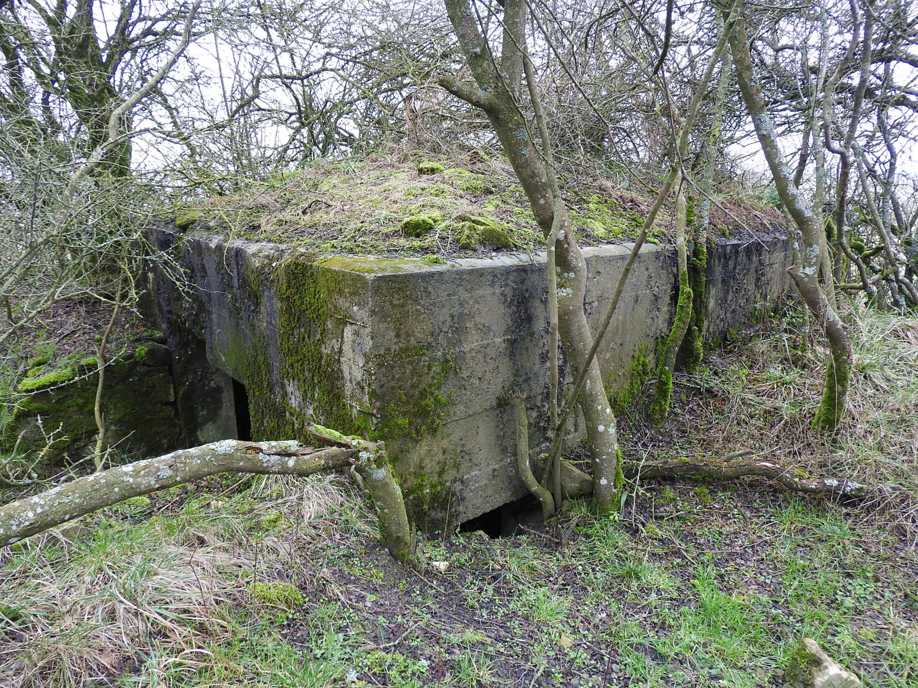 Ligne Maginot - SALWALD 4 - (Blockhaus pour canon) - La façade arrière. - STENGER Mathieu