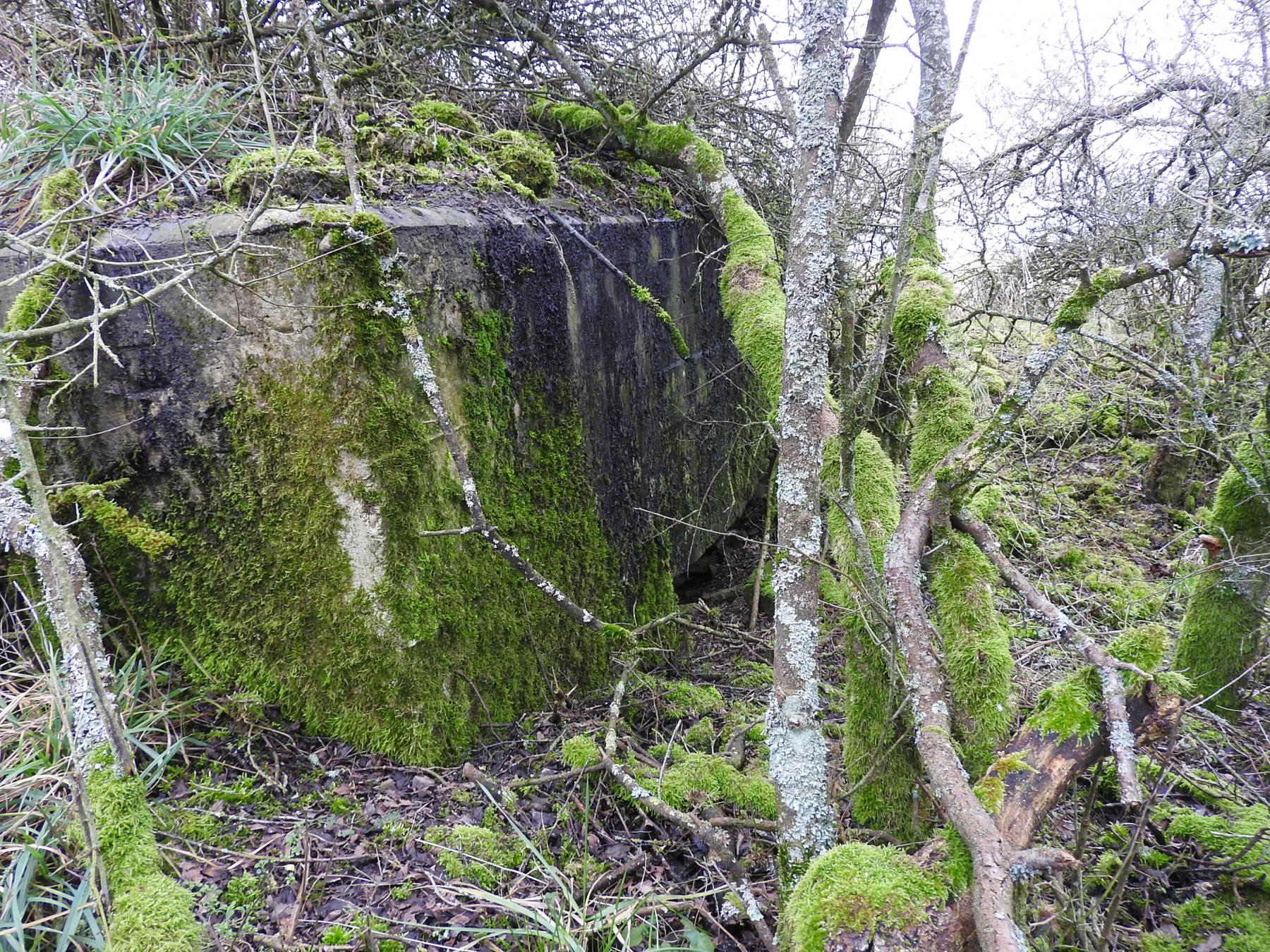 Ligne Maginot - SALWALD 4 - (Blockhaus pour canon) - La façade de tir.