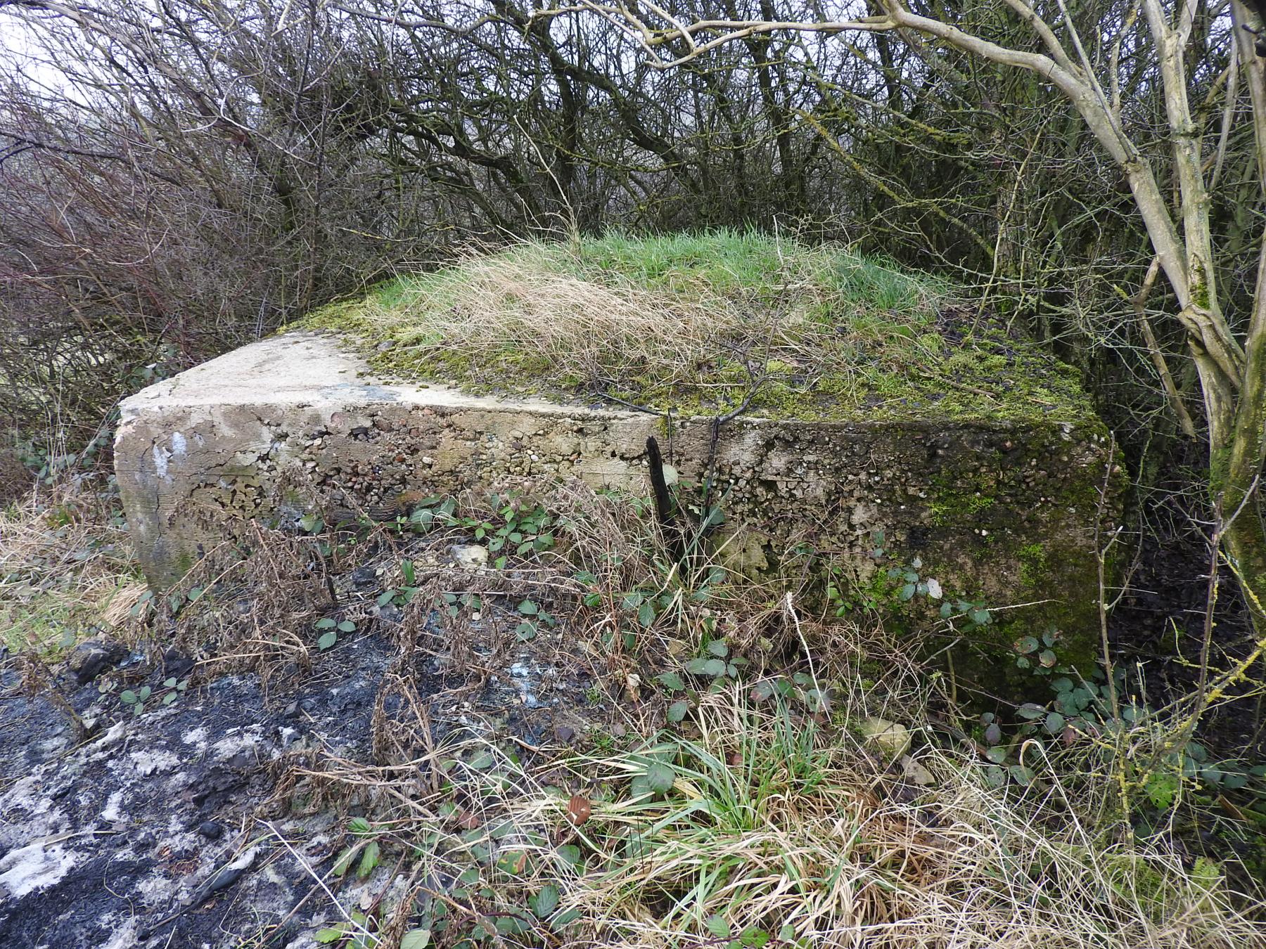 Ligne Maginot - SALWALD 5 - (Blockhaus pour arme infanterie) -  - STENGER Mathieu