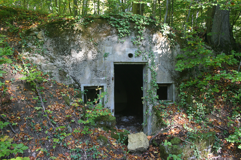 Ligne Maginot - BOIS DE LA COTE (169° RIF) - (PC de Sous-Secteur) - 