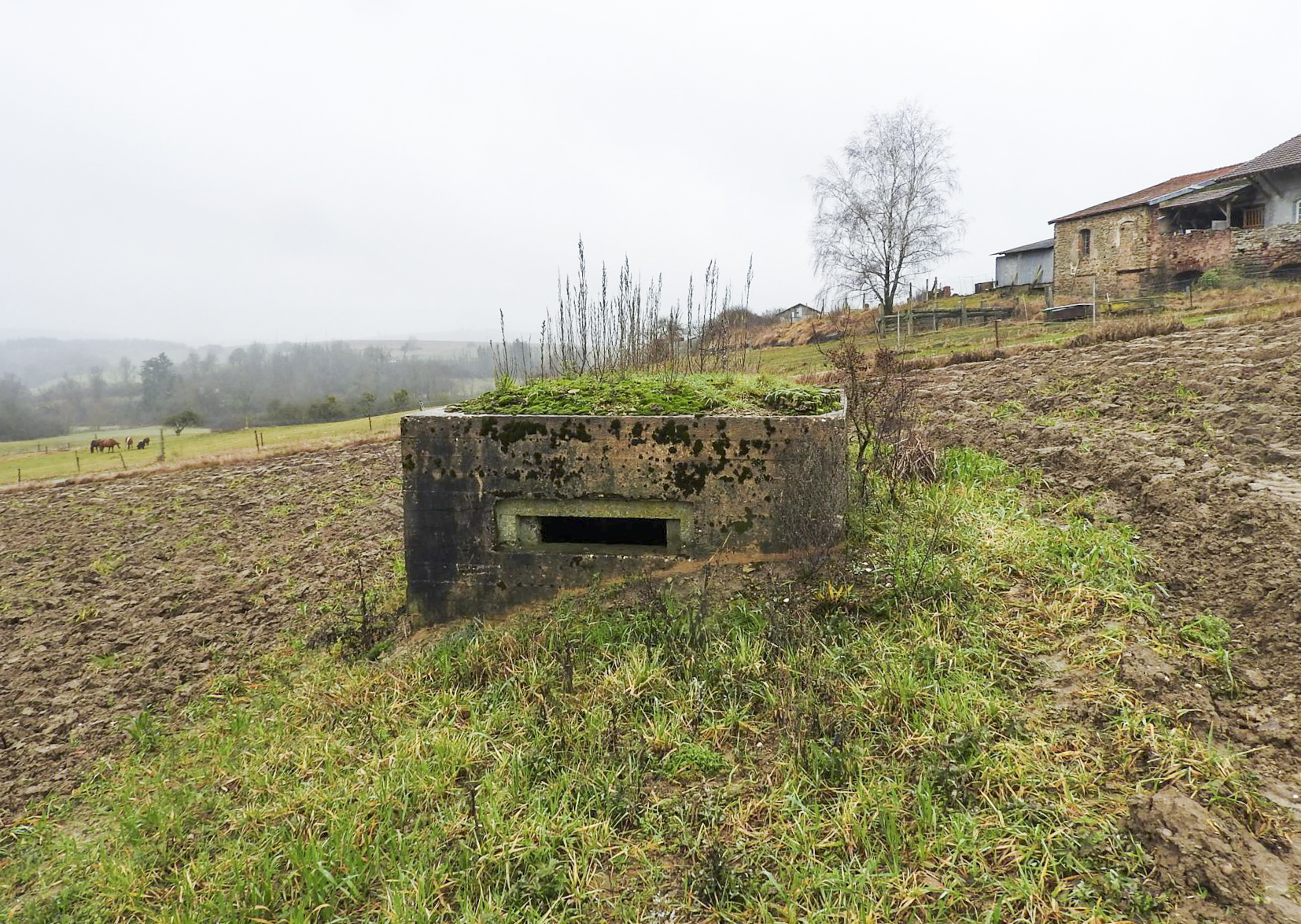 Ligne Maginot - KAJEL - (Blockhaus pour arme infanterie) - Le façade de tir vers le Nord-Est. - STENGER Mathieu