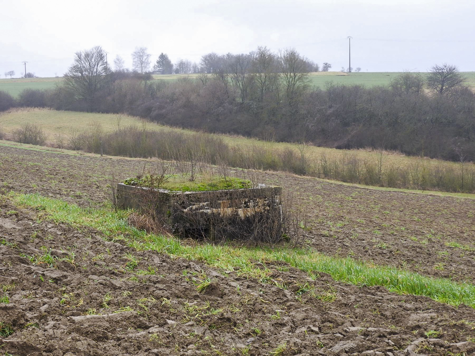 Ligne Maginot - KAJEL - (Blockhaus pour arme infanterie) - Le blockhaus vu depuis la route. - STENGER Mathieu