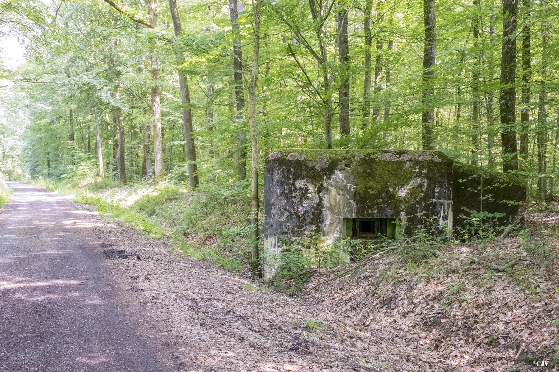 Ligne Maginot - HUEHNERBERG 4 - (Blockhaus pour arme infanterie) -  - Lia VERMEULEN