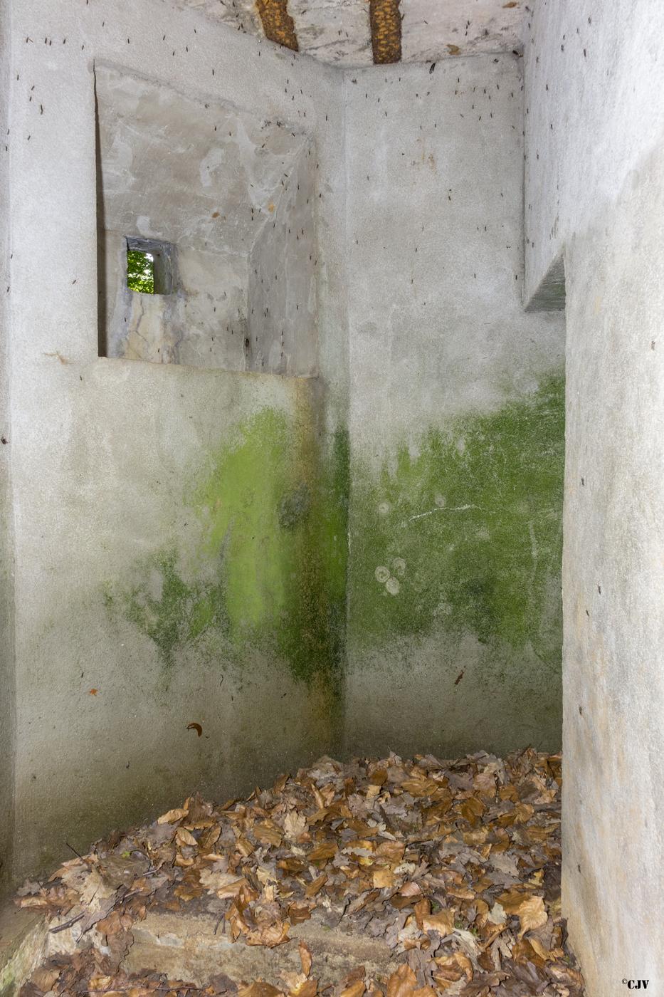 Ligne Maginot - HUEHNERBERG 4 - (Blockhaus pour arme infanterie) - L'entrée et le créneau pour la défense d'entrée - Lia VERMEULEN