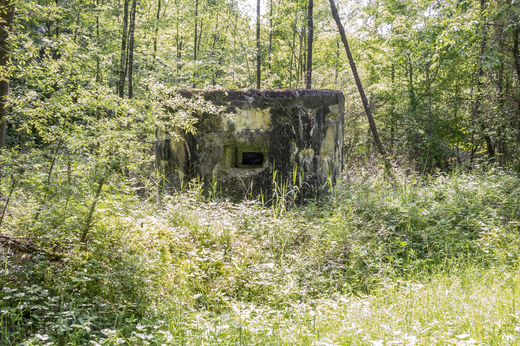 Ligne Maginot - HUEHNERBERG 2 - (Blockhaus pour arme infanterie) -  - Lia VERMEULEN