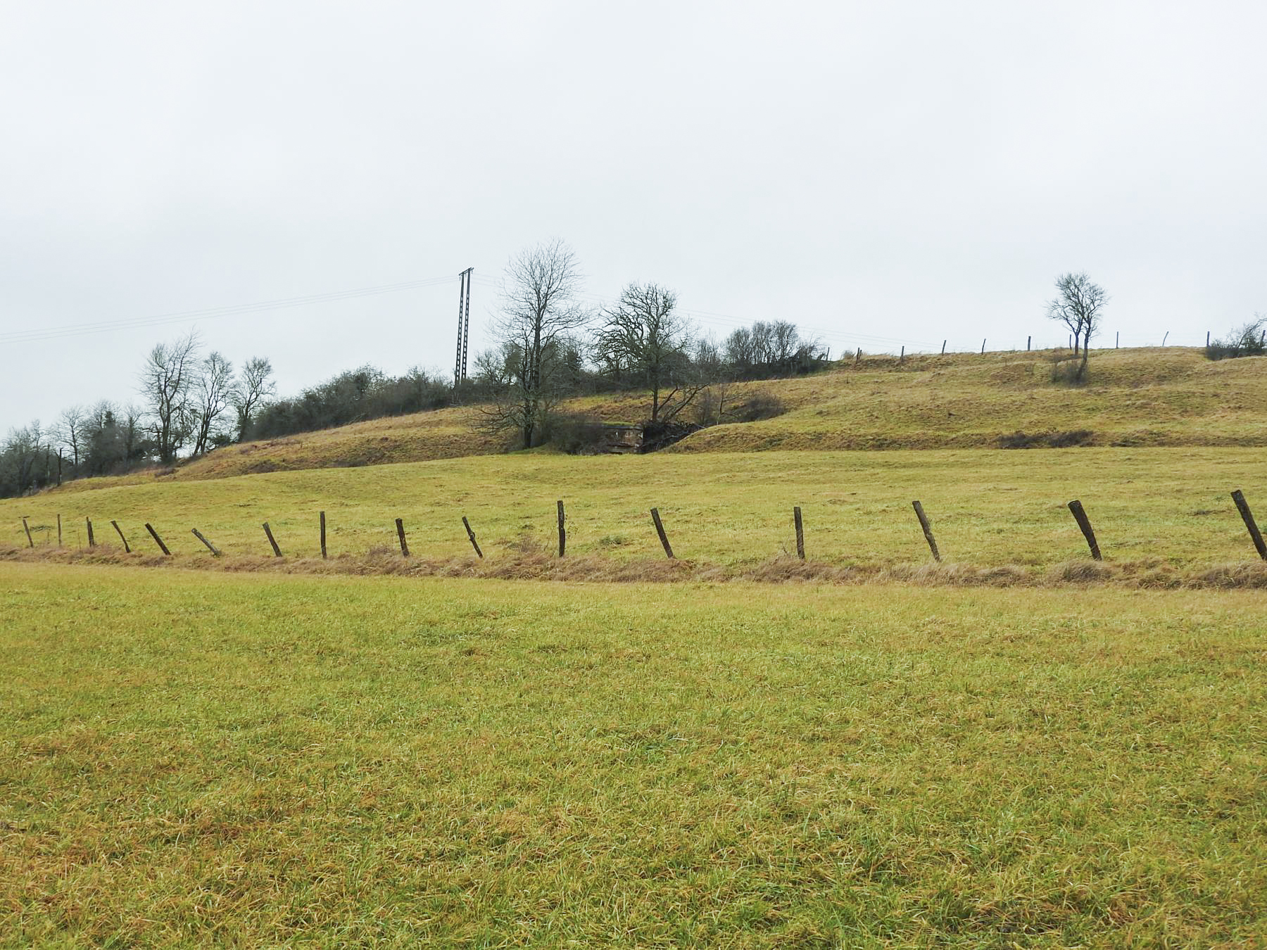 Ligne Maginot - GEBELSWIESE 1 - (Blockhaus pour canon) - Le blockhaus est construit contre une élévation du terrain.
