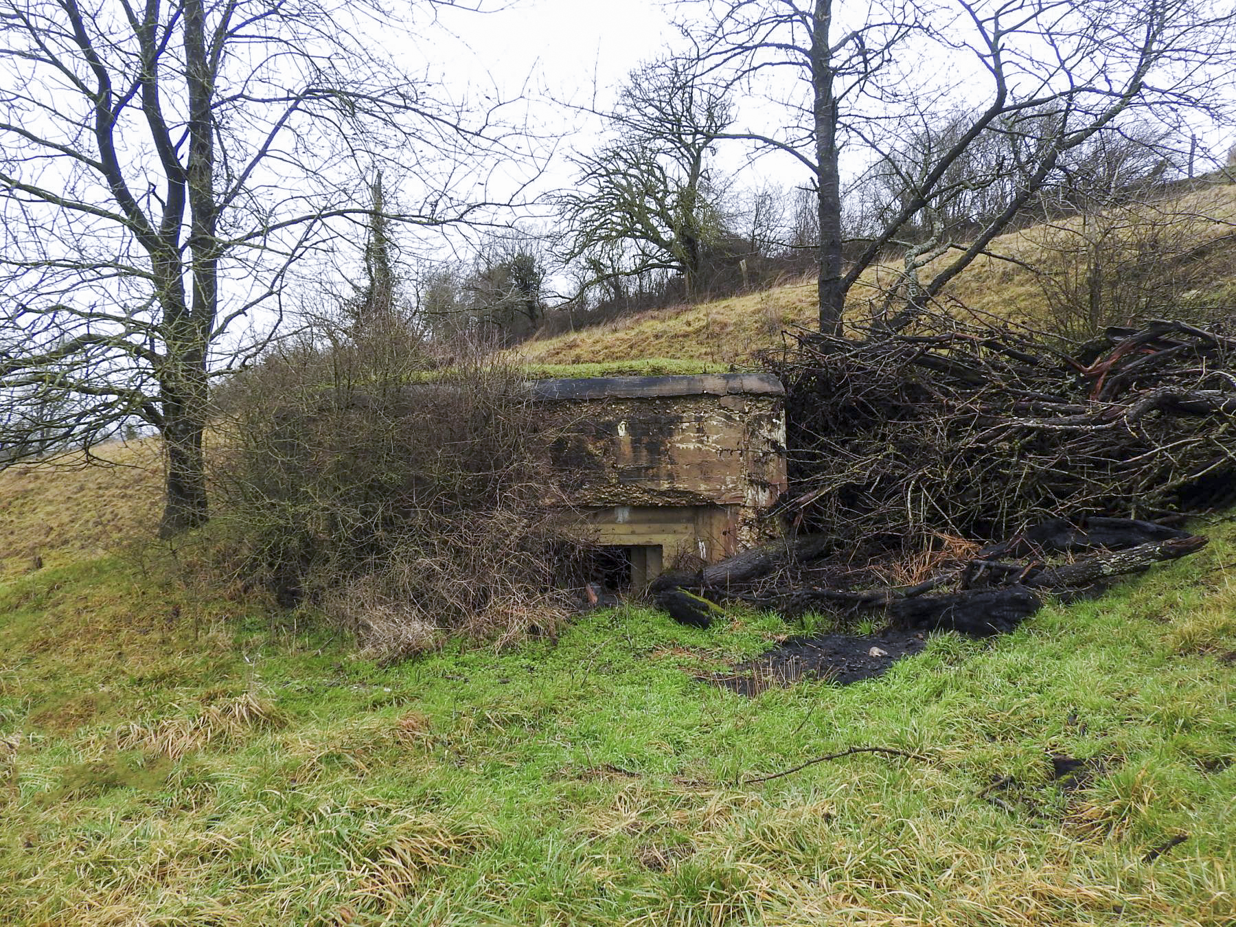 Ligne Maginot - GEBELSWIESE 1 - (Blockhaus pour canon) - La façade de flanquement Ouest-sud-ouest.
