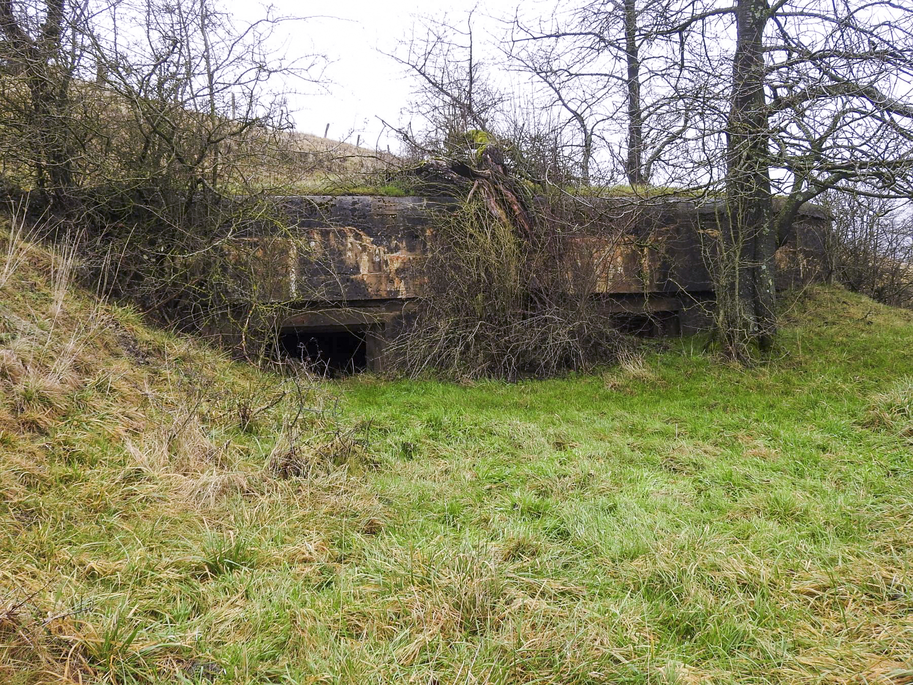 Ligne Maginot - GEBELSWIESE 1 - (Blockhaus pour canon) - L'entrée et le flanquement Sud-sud-est.