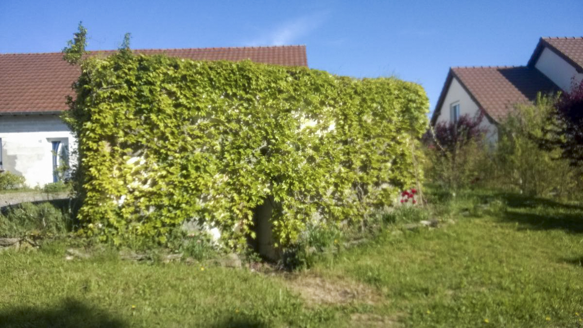 Ligne Maginot - COTE 250 2 - (Blockhaus pour arme infanterie) - Sur le terrain d’un particulier