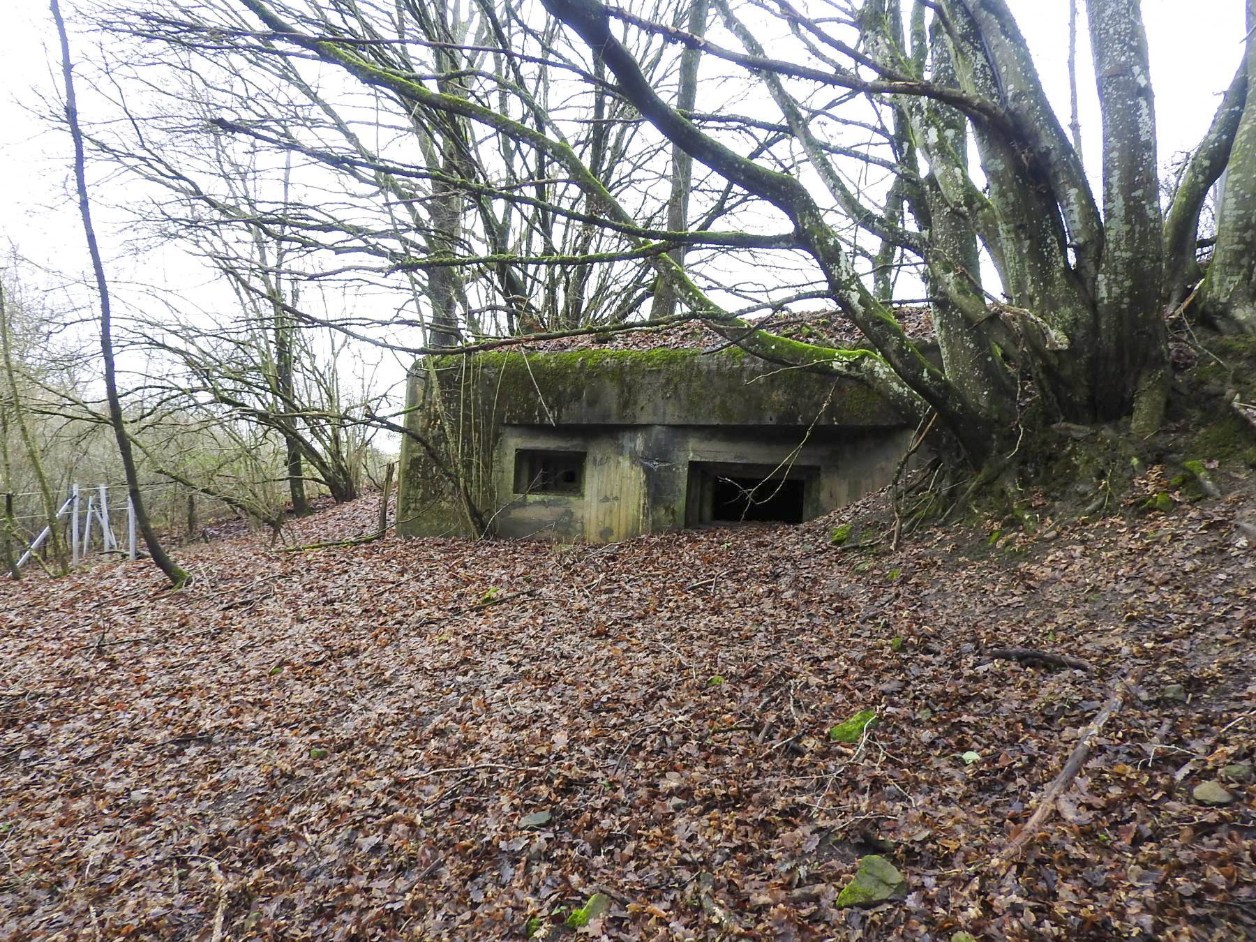 Ligne Maginot - MITTELSMUEHLE - (Blockhaus pour canon) - La façade de tir du blockhaus.