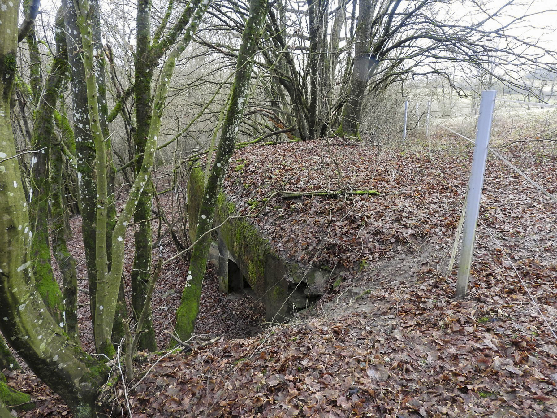 Ligne Maginot - MITTELSMUEHLE - (Blockhaus pour canon) - Une vue du dessus du blockhaus.