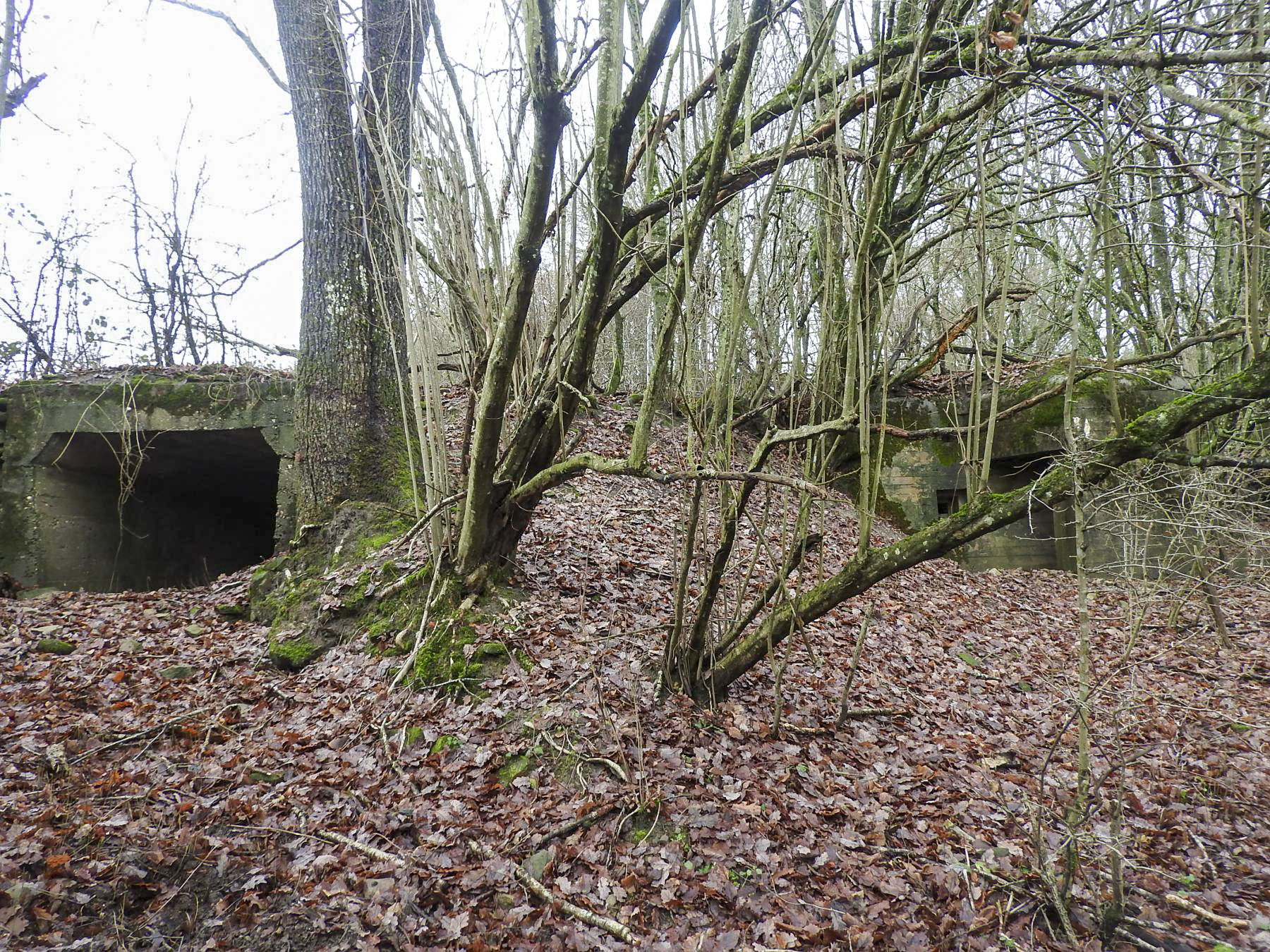 Ligne Maginot - MITTELSMUEHLE - (Blockhaus pour canon) - Une vue d'ensemble des deux entrées.