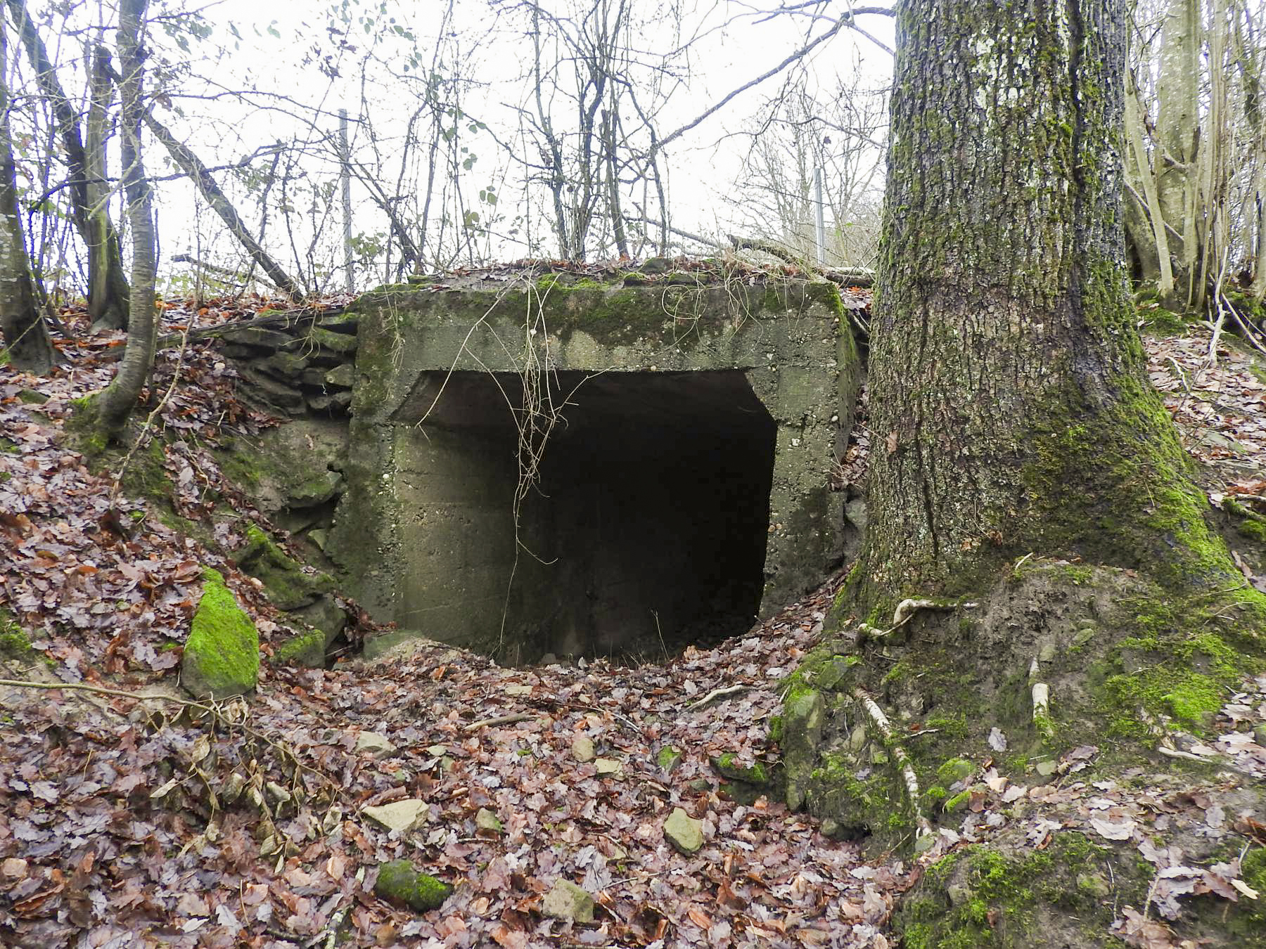 Ligne Maginot - MITTELSMUEHLE - (Blockhaus pour canon) - L'entrée matériel détachée du blockhaus.