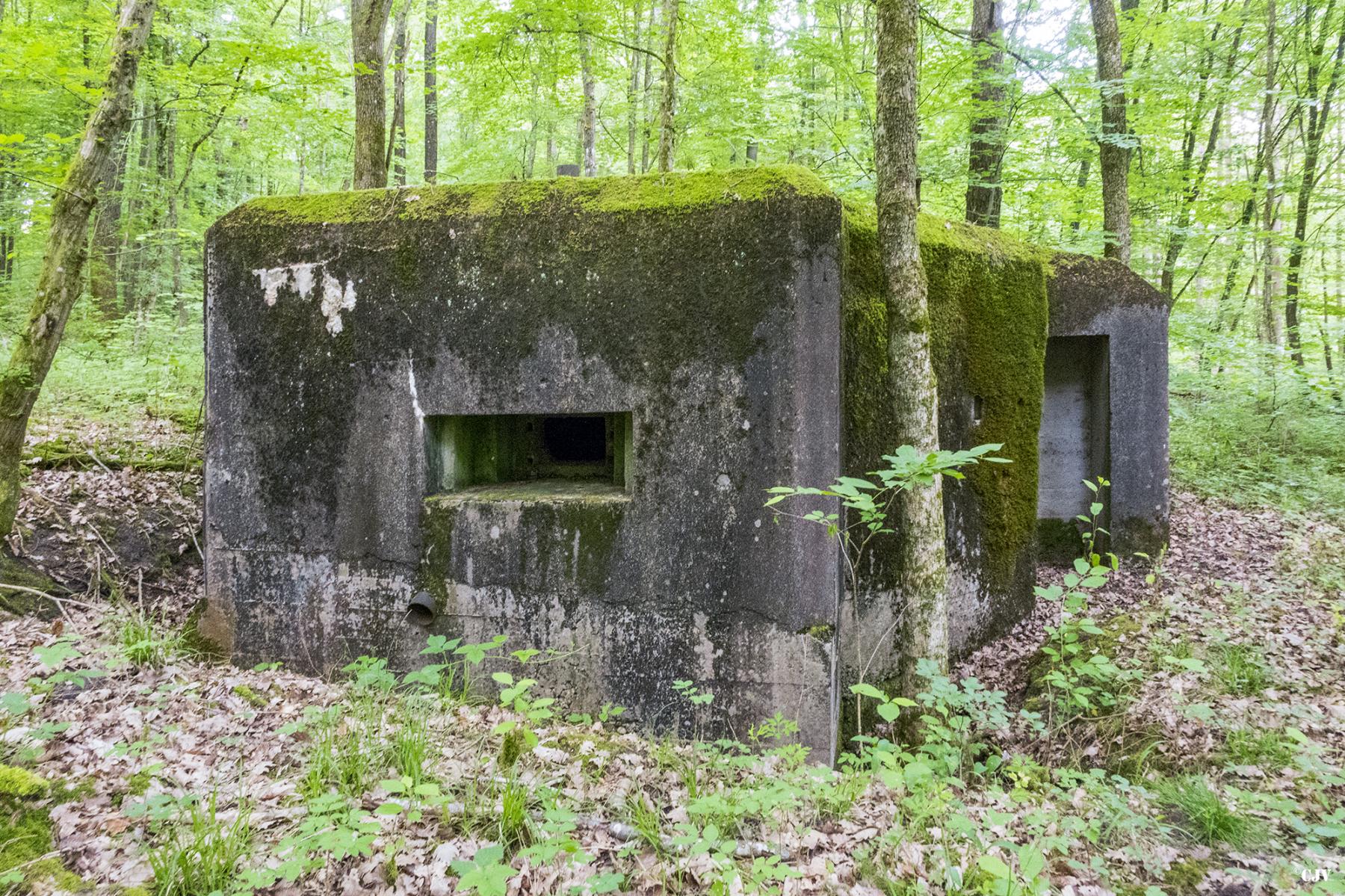 Ligne Maginot - HART OUEST 3 - (Blockhaus pour arme infanterie) - 