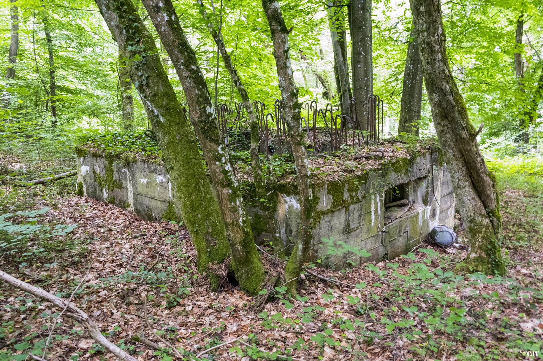 Ligne Maginot - HART OUEST 2 - (Blockhaus pour arme infanterie) -  - Lia VERMEULEN