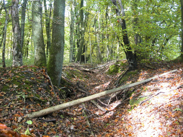 Ligne Maginot - HELLENWALD 1 - (Cuve pour arme d'infanterie) - Tranchée d'accès