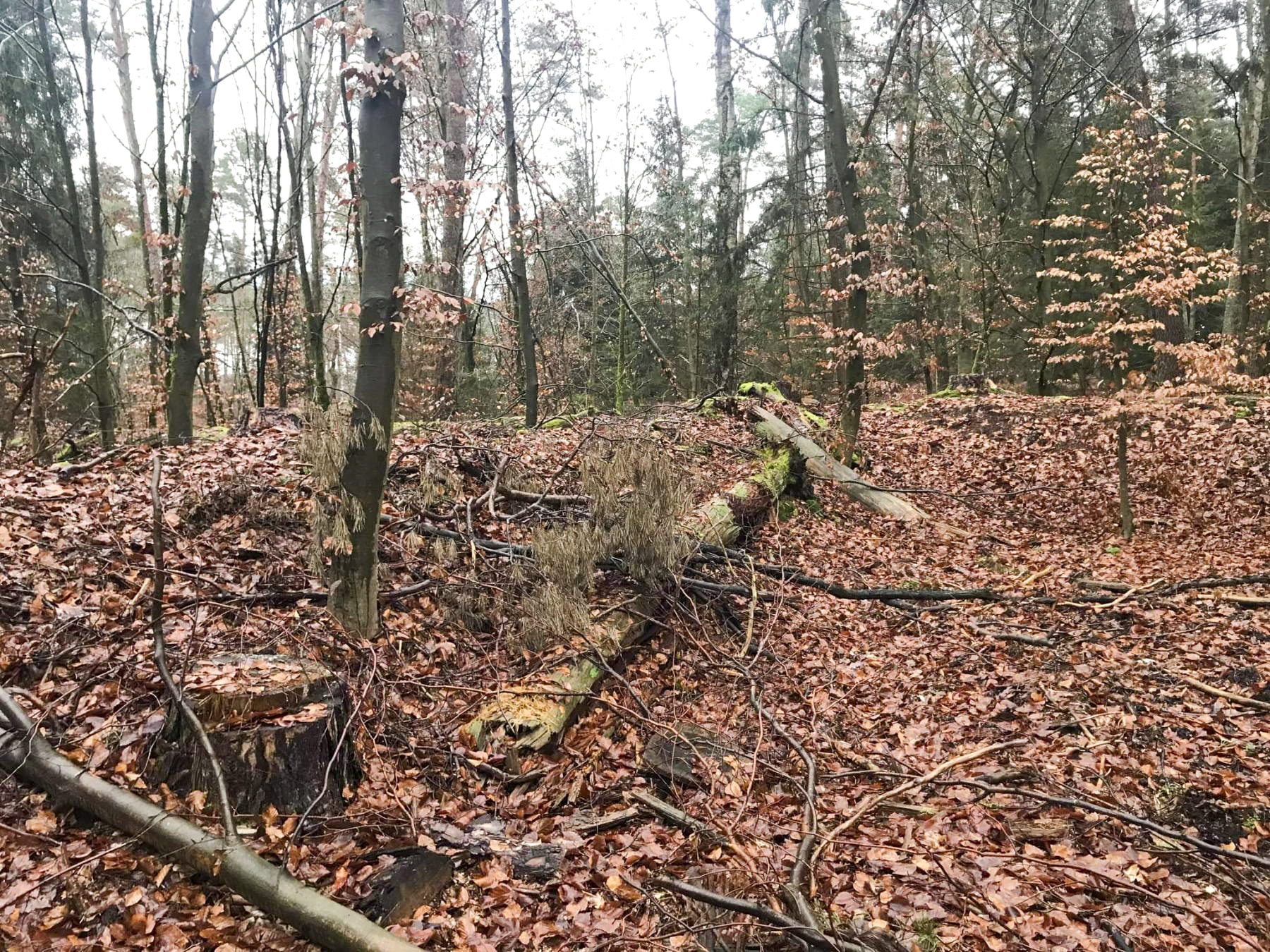 Ligne Maginot - SOUFFLENHEIM NORD - (Dépôt de Munitions) - 