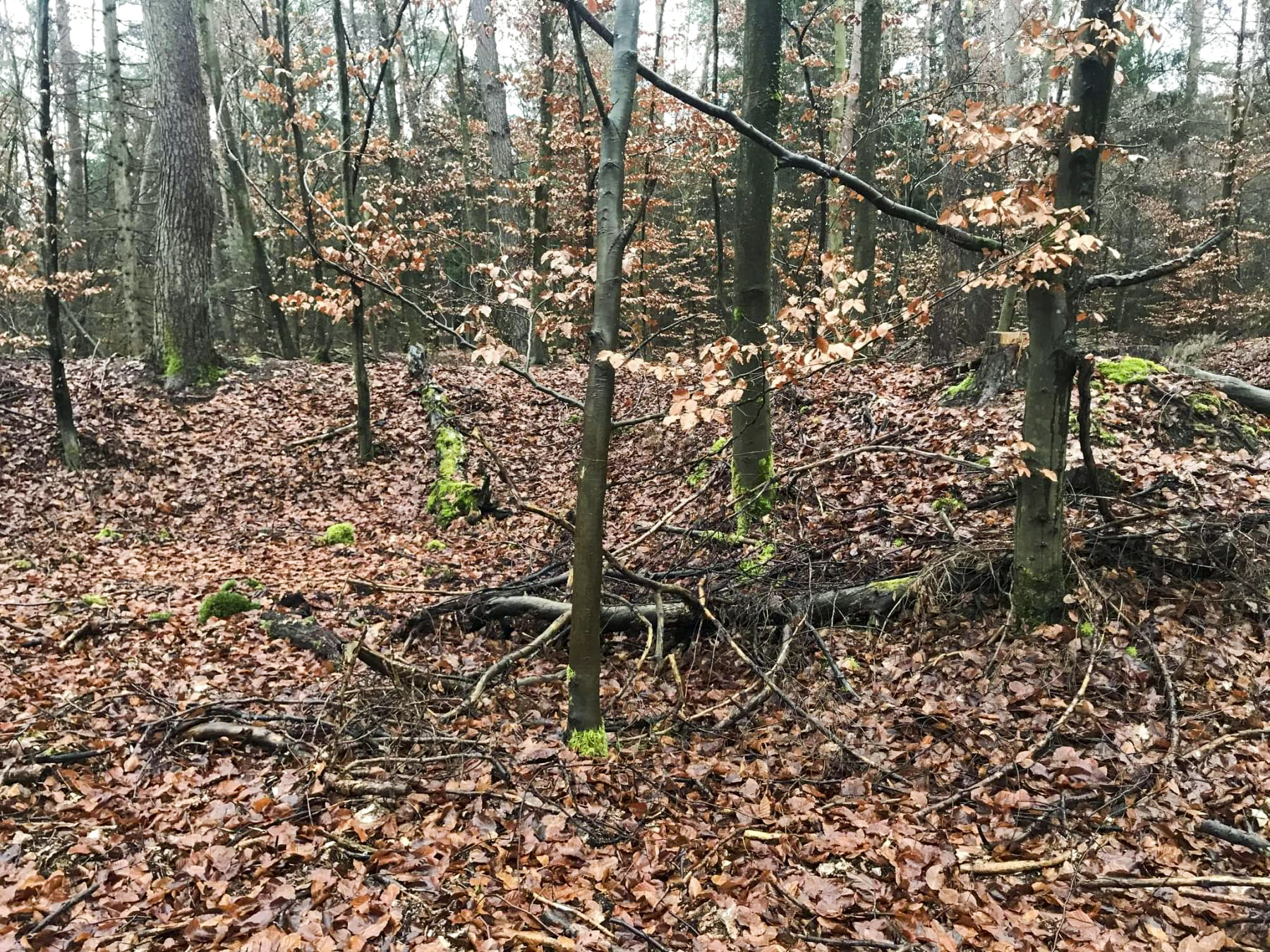 Ligne Maginot - SOUFFLENHEIM NORD - (Dépôt de Munitions) - 