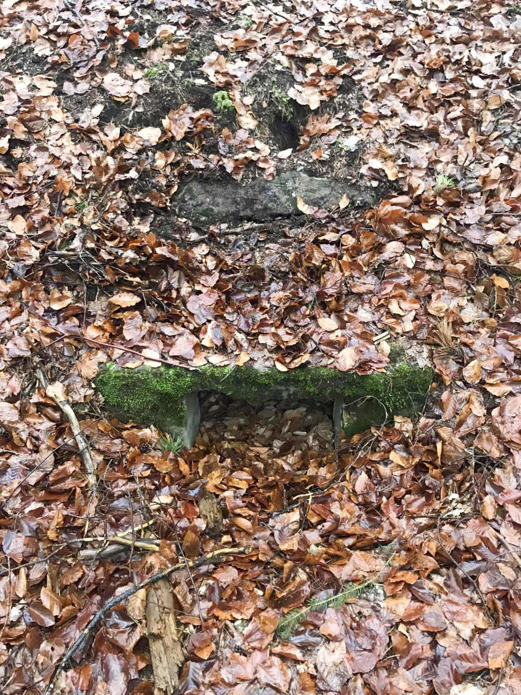 Ligne Maginot - SOUFFLENHEIM NORD - (Dépôt de Munitions) - L’unique niche encore visible