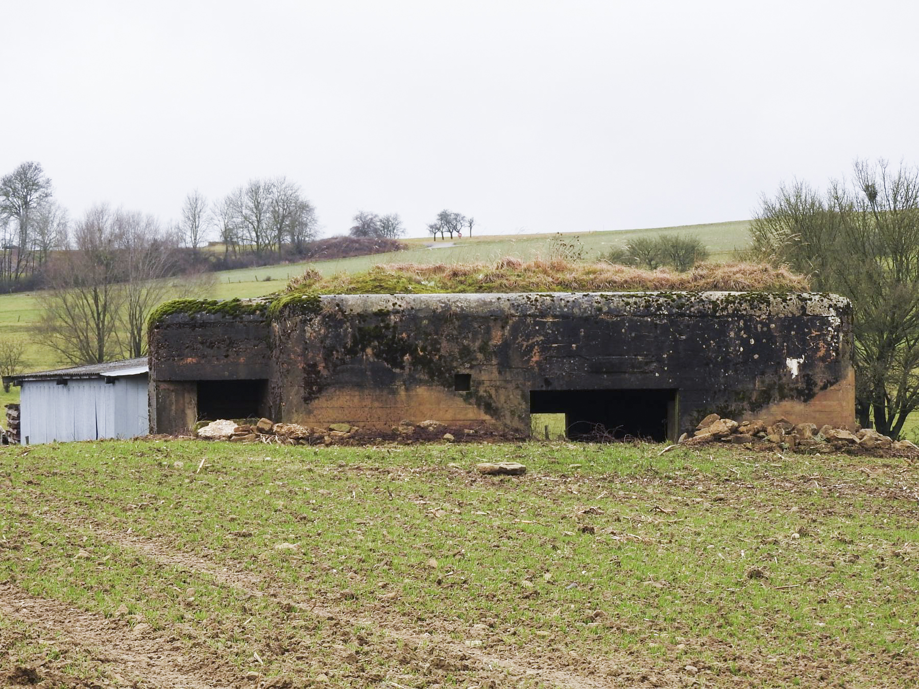 Ligne Maginot - MITTELSMUEHLE OUEST - (Blockhaus pour canon) - La façade arrière du blockhaus.