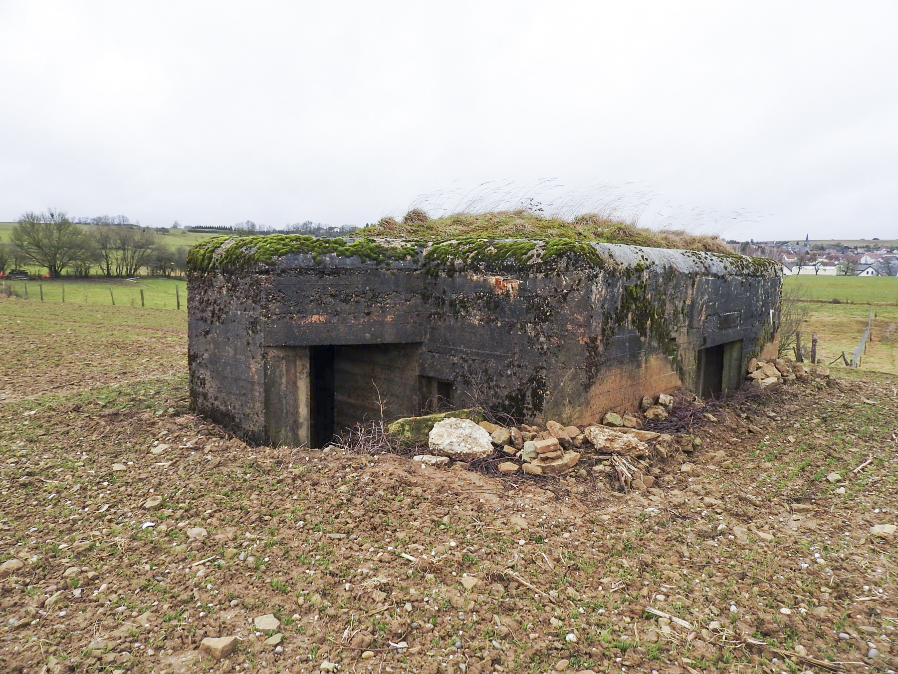Ligne Maginot - MITTELSMUEHLE OUEST - (Blockhaus pour canon) - L'entrée des hommes.
