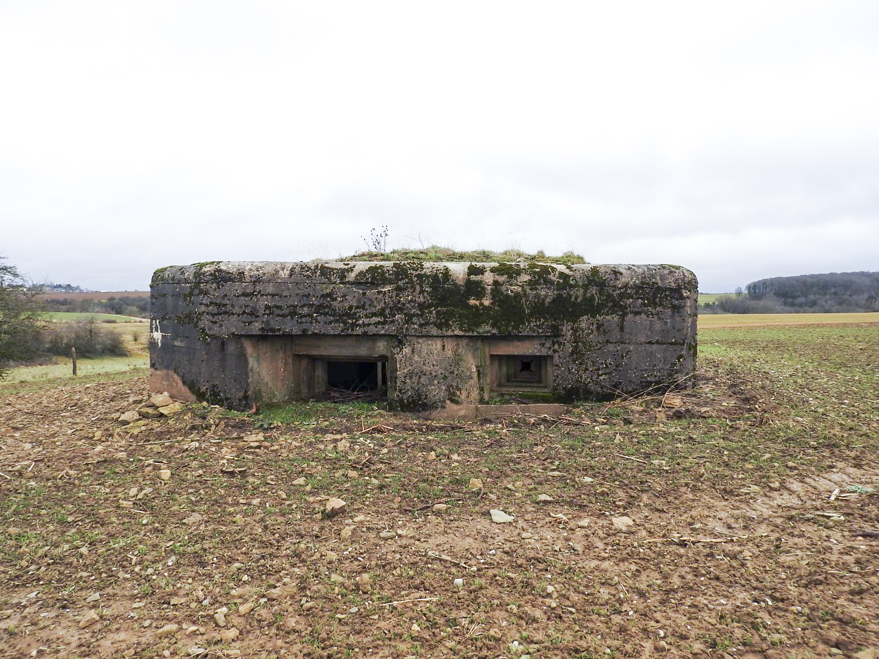 Ligne Maginot - MITTELSMUEHLE OUEST - (Blockhaus pour canon) - La façade de tir.