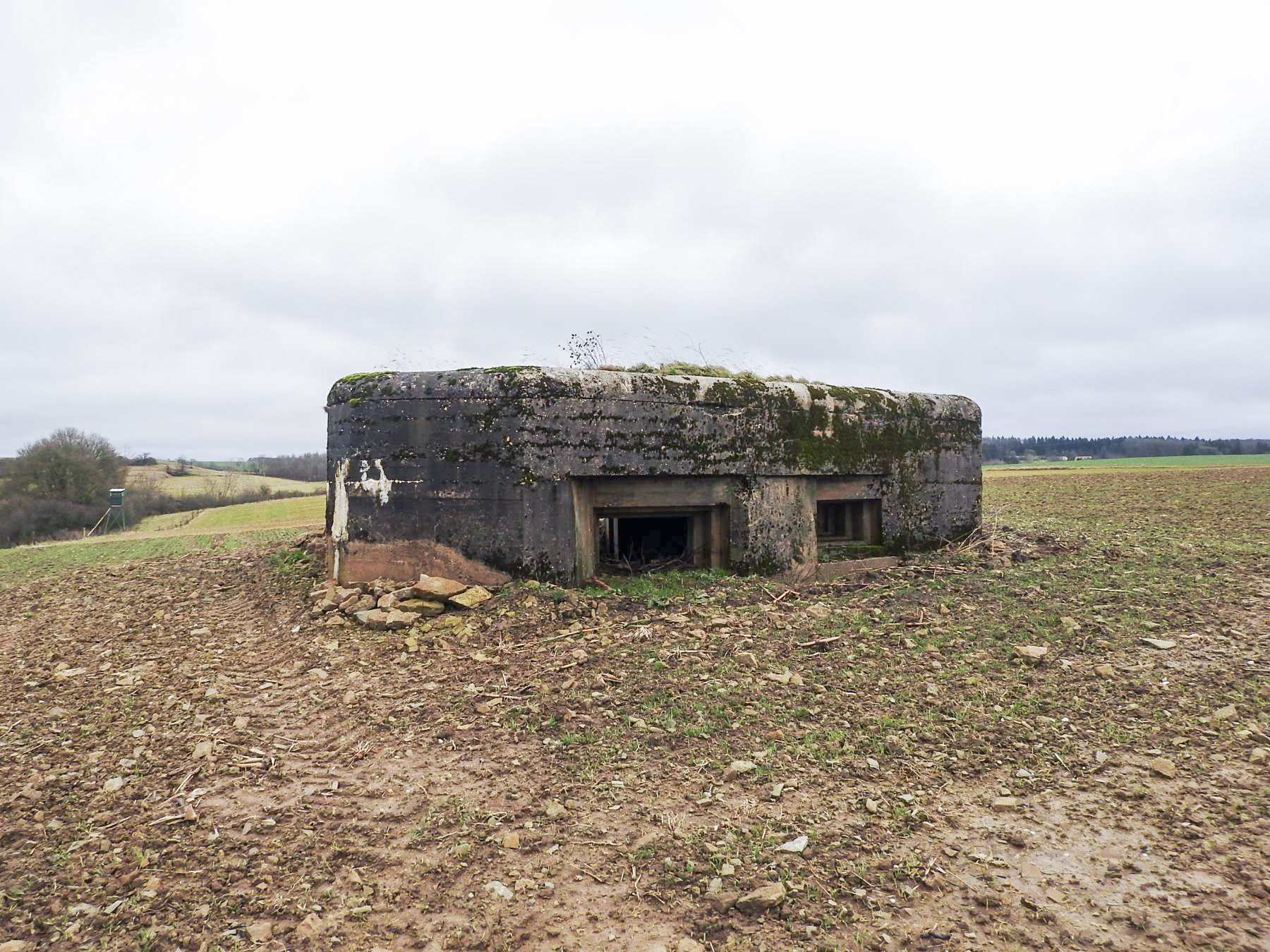 Ligne Maginot - MITTELSMUEHLE OUEST - (Blockhaus pour canon) - La façade de tir.