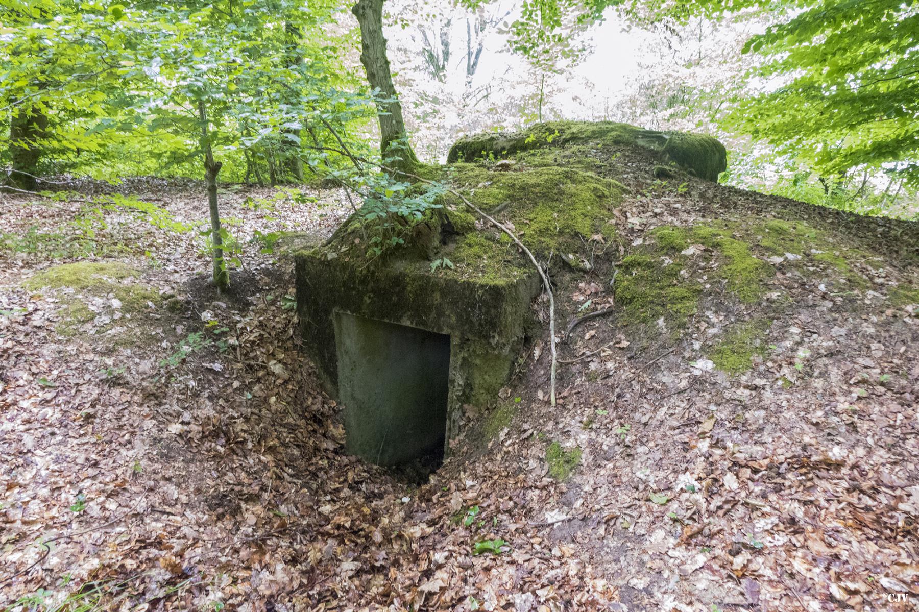 Ligne Maginot - HELLENWALD 4 - (Observatoire d'infanterie) - L'entrée