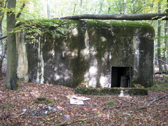 Ligne Maginot - HELLENWALD 7 - (Central téléphonique d'observation) - Façade arrière