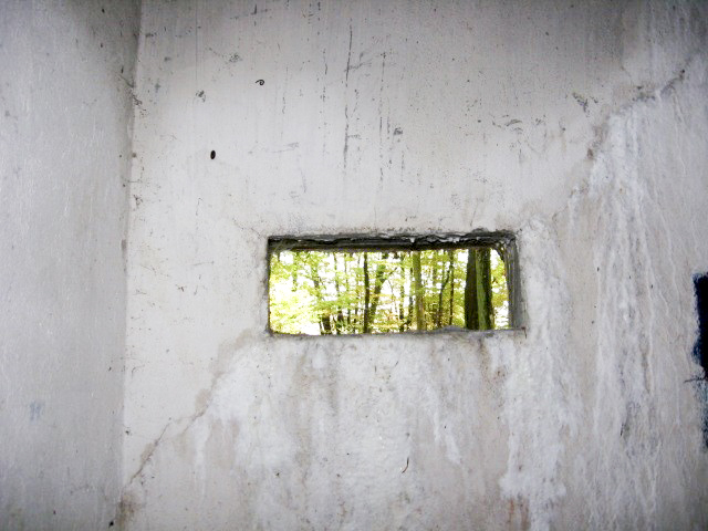 Ligne Maginot - HELLENWALD 7 - (Central téléphonique d'observation) - Créneau d'observation